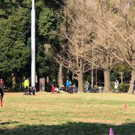 10色リレー 折り返し付近②の画像