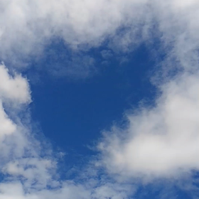 梅雨の晴れ間に　の画像