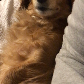 お腹減った！の画像