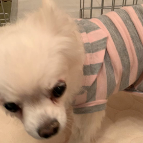 まったりな時間の画像