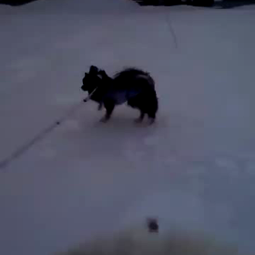 どうかなぁ？の画像