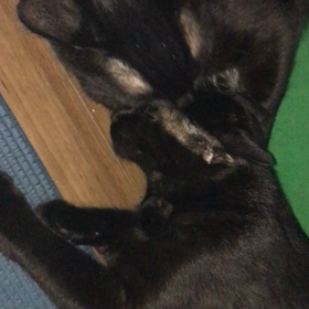 仲良し？の画像