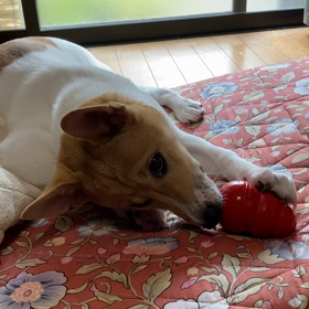 やっと食べた！の画像