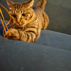 ヒモが好き‼️の画像