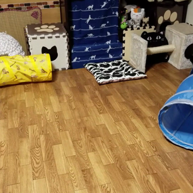 Ｒ＆Ｏ(97) 今は静かだが･･･の画像