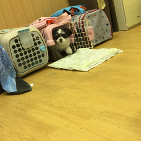 目覚ましい！！の画像