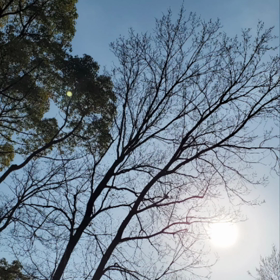 休日の光景の画像