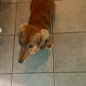 母の願いの画像