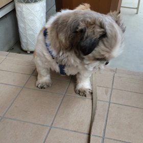 もうちょっと、頑張れの画像