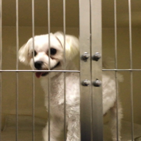 お泊り♡こたろうくんの画像