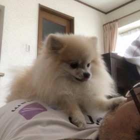 ルーティーンの画像