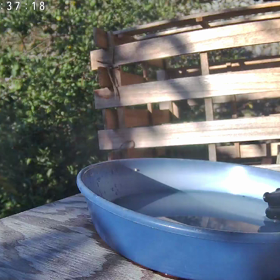 すぎぴたんの事件簿シーズン3　399話（お風呂の水が全部抜かれて、クレーム！メジロ）の画像