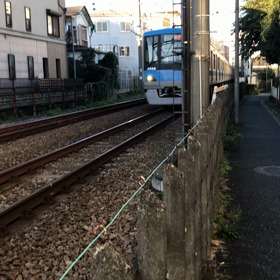 散歩の動画残りアップの画像