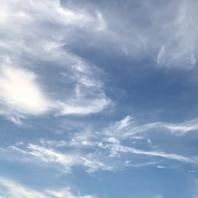 ８月１０日  7:14の画像