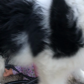 ケイジとケンジ　第6話の画像