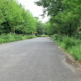 100m記録会 ６年女子２位の画像
