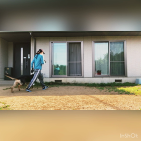 dog training❹の画像