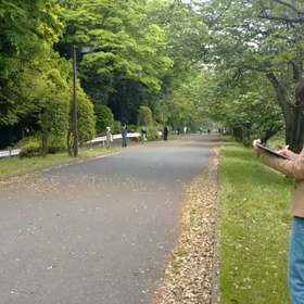 リレー選考会(男子)ゴール付近⑫の画像