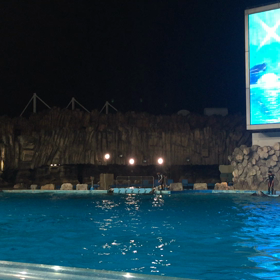 ８月ラストは(^-^)の画像