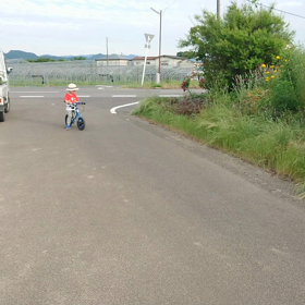 今日も大暴れ…の画像