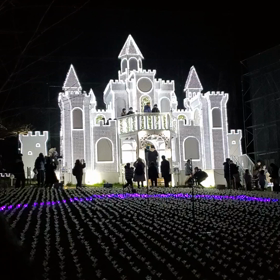 あしかがフラワーパークMOVIE①の画像