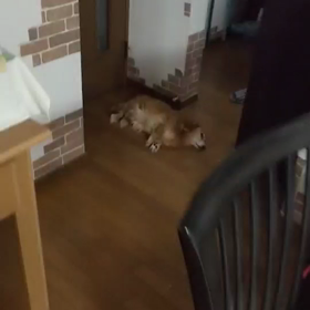 おたけはピアノの画像