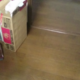 みなぎっているの画像