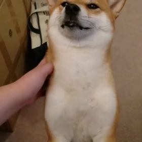 なでなで、もっとぉ～の画像