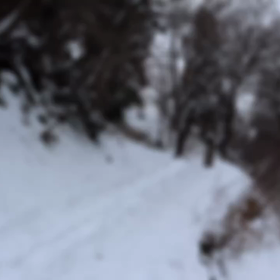 2020.2.20大山の画像