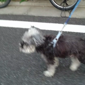 ありがとうの画像