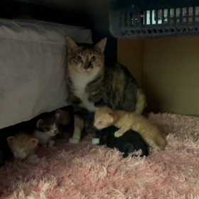 少しずつの画像