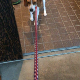 拒否するんですよの画像