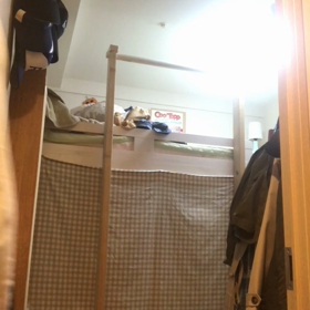 自宅 懸垂機具の画像