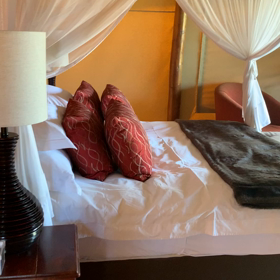 ゴージャスな滞在スタートの画像