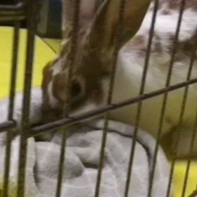 今日のふづきちゃんの画像