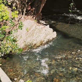 放射線治療もあと少しの画像