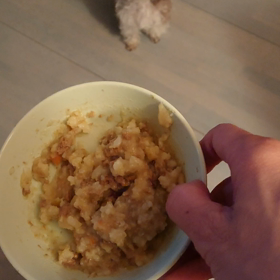 パクパク晩ごはんの画像