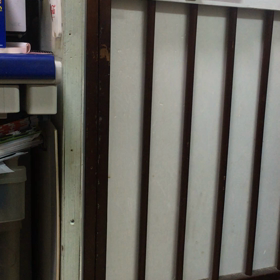 観てて〜ェの画像