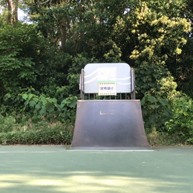 通勤途中のスケート  その2  クォーター続き、、の画像