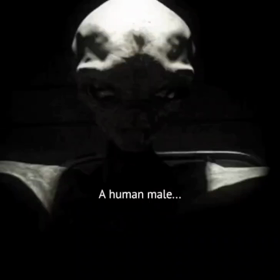 CodezVII/6112の画像