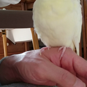 おやすみなさいの画像