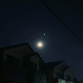 初夢とスピな話の画像