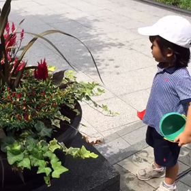 かわいいの画像