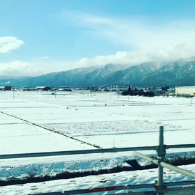 京都は晴れ✨の画像