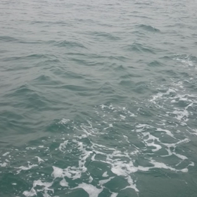 木場出発の画像