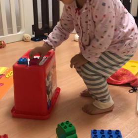 Open Shut Themの画像