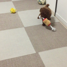 ♪お気に入りのおもちゃの画像