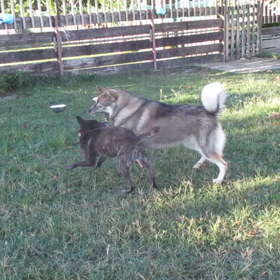 パート3  の画像