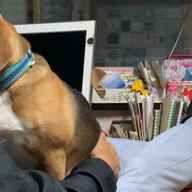 エクササイズの画像