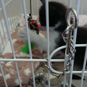 はじめてのおもちゃの画像